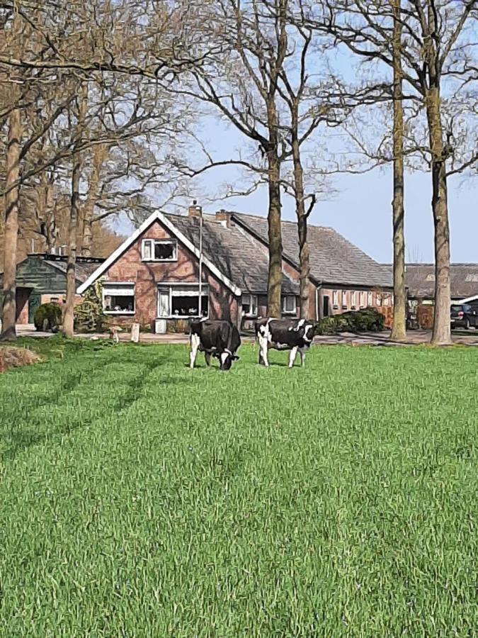 Hoeve De Laan Woudenberg エクステリア 写真